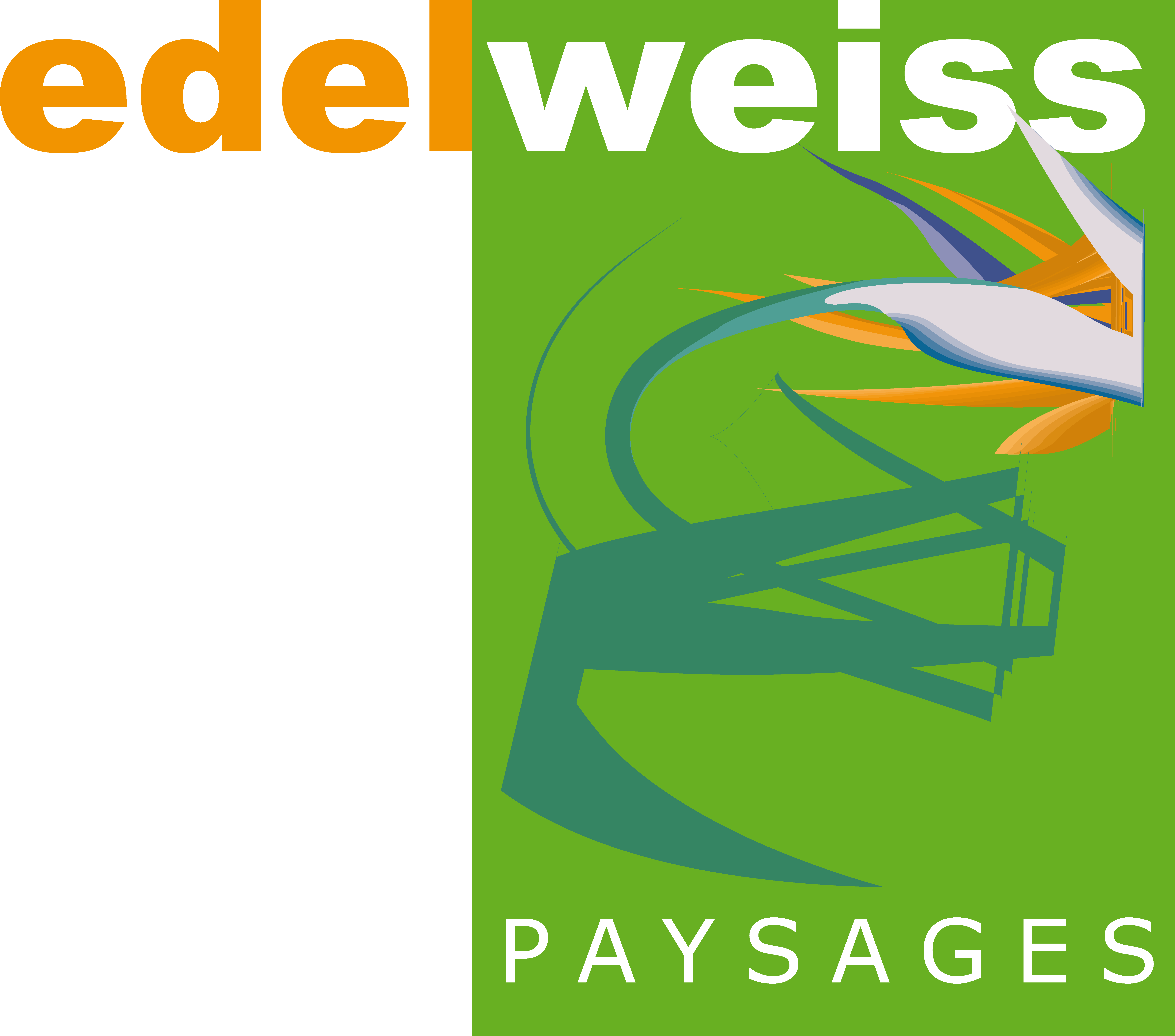 Edelweiss-couleurs HD