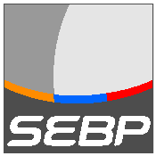 Logo_PAV_color_baseline_vec