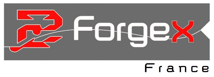 C:\Thierry Lestra\Mes images\Logos et marques figuratives\Forgex France logo.jpg